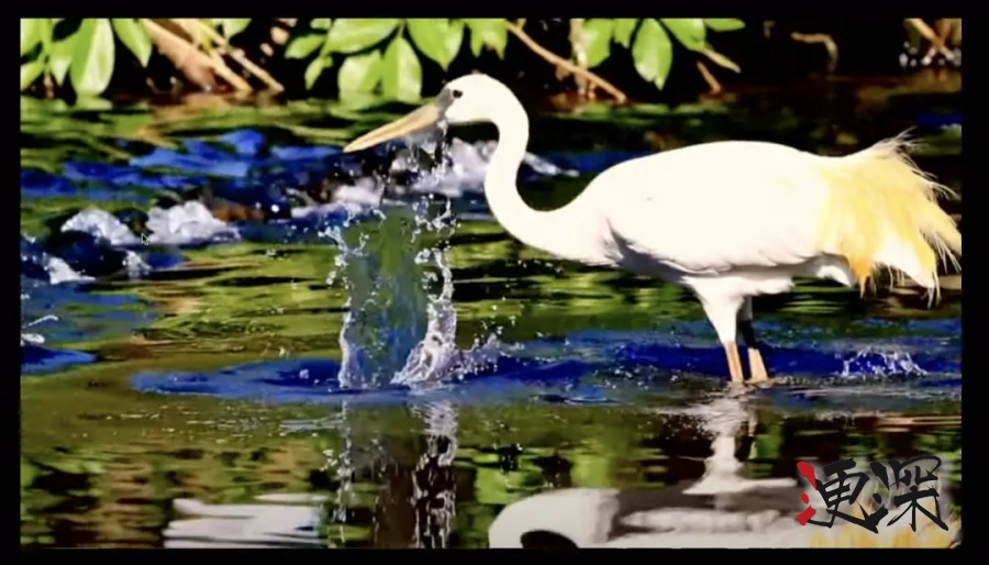 openai2_副本.jpg openai2_副本.jpg