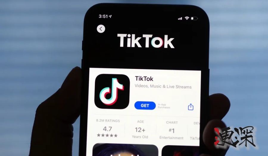 TikTok 的奮力一搏-第1張圖片.jpg